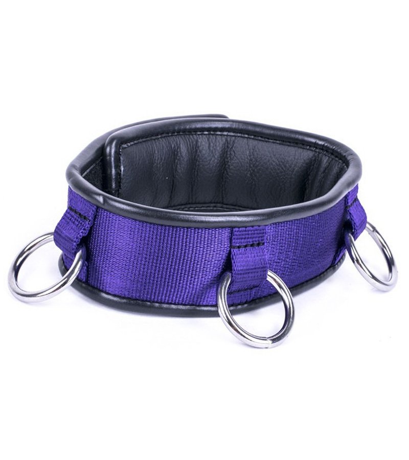 Deluxe Collar PURPLE with 3- Rings