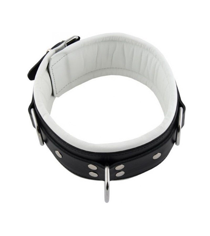 Padded Neck Collar - WHITE/BLACK
